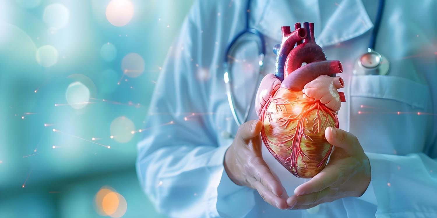 The phenotypes of cardiomyopathy