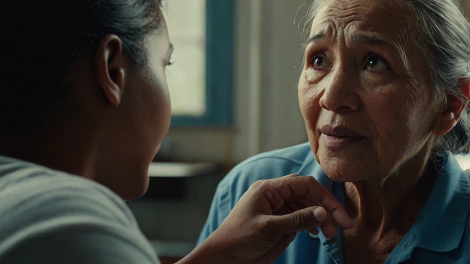 The Serious Incident Response Scheme: Preventing and Reporting Abuse in Aged Care