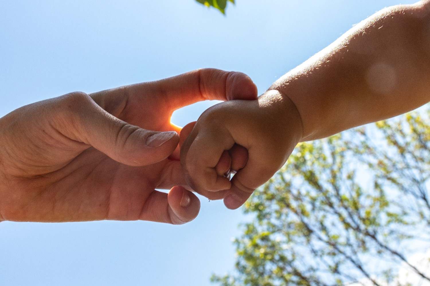 Healthcare training