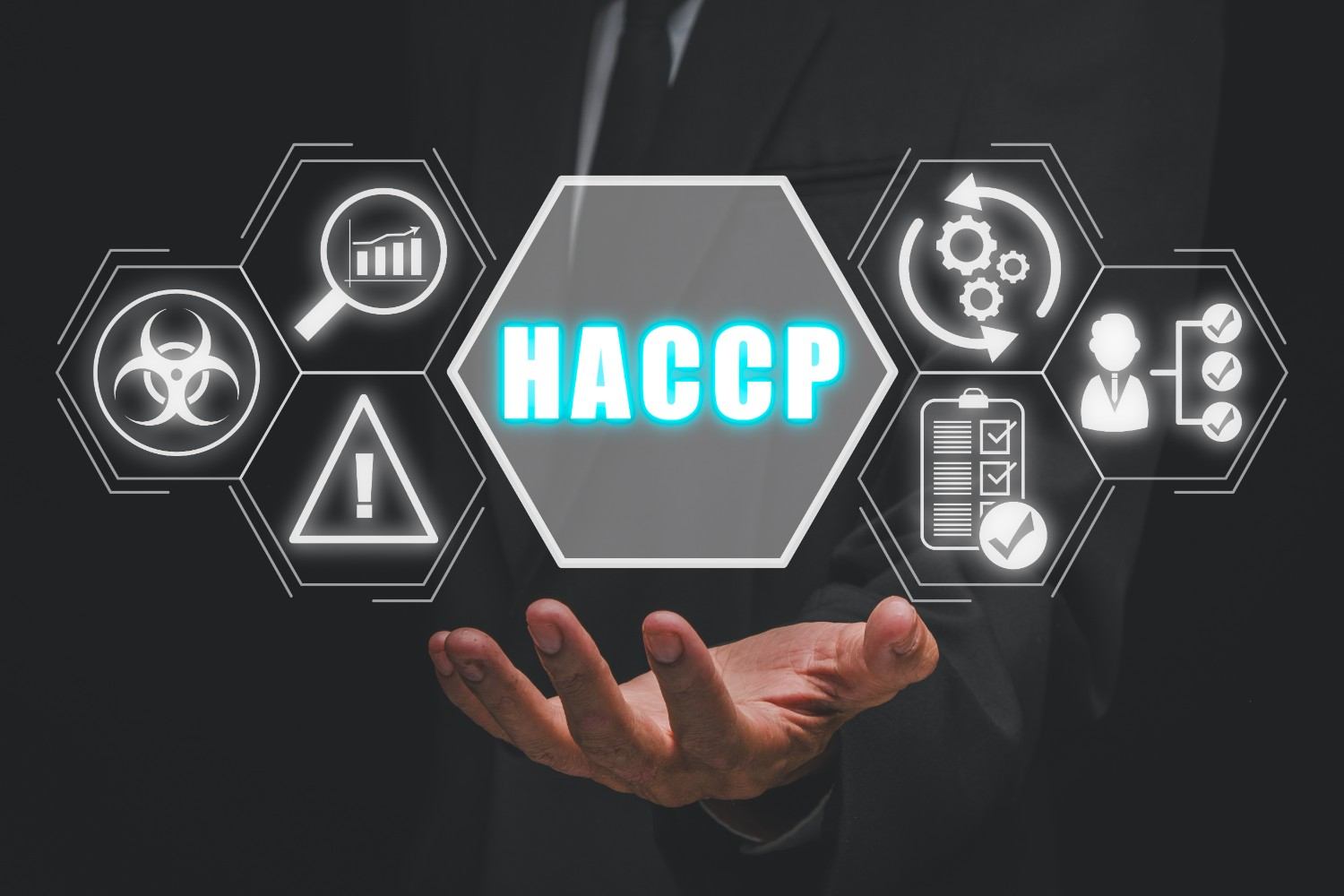 Hazard Analysis and Critical Control Point