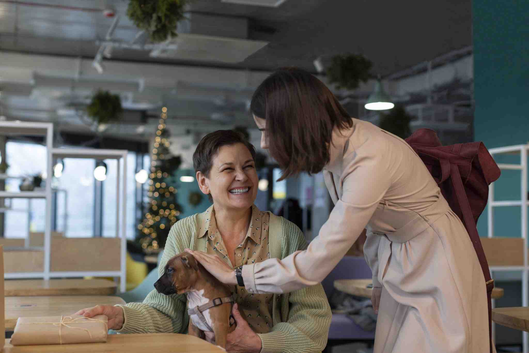 Pathway to Care Programme : The 6 C’s of Care