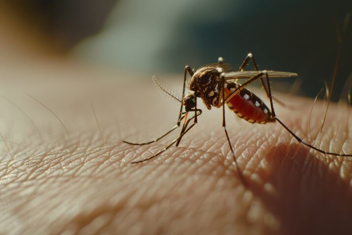 Malaria Awareness
